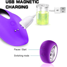 Load image into Gallery viewer, Hubba Wearable Clitoral Stimulator Vibrator Panties Vibrating Panty Purple