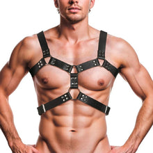 Load image into Gallery viewer, 6 O-Ring Chest Harness