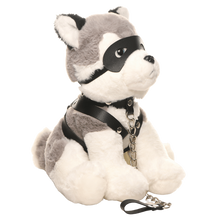 Load image into Gallery viewer, Max the Fetish Pup