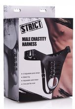 Load image into Gallery viewer, Male Chastity Harness