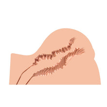 Load image into Gallery viewer, Kate Doggy Style Mini Hip