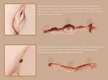 Load image into Gallery viewer, Kokos Real Hip Hera 1:1 Torso Vagina Anal Ass Male Masturbator Sex Doll