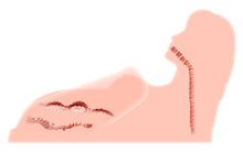 Load image into Gallery viewer, Love Doll Real Hera 3