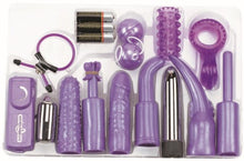 Load image into Gallery viewer, Dirty Dozen Kit (Lavender)