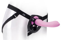 Load image into Gallery viewer, Universal Beginner's Harness (Black)