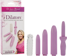 Load image into Gallery viewer, Dilator Set (Lavender)