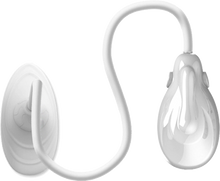 Load image into Gallery viewer, Pussy Suction Cup Massager