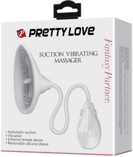 Load image into Gallery viewer, Pussy Suction Cup Massager