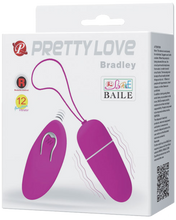 Load image into Gallery viewer, Bradley Vibrating Egg Wearable Vibrator Panties Remote Control Bullet Sex Toy