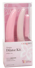 Load image into Gallery viewer, Inspire Vibrating Dilator 3-Piece Set (Pink)