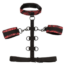 Load image into Gallery viewer, Calexotics Scandal Collar Body Restraint Red
