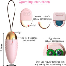 Load image into Gallery viewer, Gina Wireless Vibrating Egg Kegel Ball Ben Wa Vibrator Pink Blue
