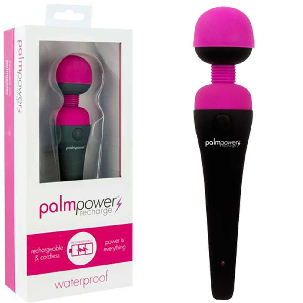 PalmPower Recharge Massage Wand Waterproof Clitoral Stimulator Sex Toy