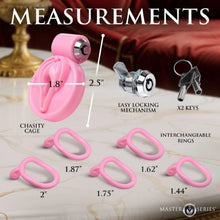 Load image into Gallery viewer, Pussification Vulva Chastity Cage
