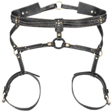 Load image into Gallery viewer, Full Body Harness
