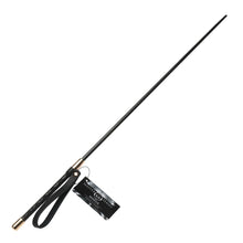 Load image into Gallery viewer, Master Series Sinful Impact Cane
