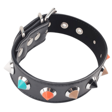 Load image into Gallery viewer, Collar with Thorns
