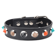 Load image into Gallery viewer, Collar with Thorns
