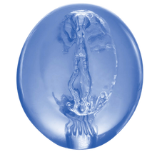 Load image into Gallery viewer, Pocket Jelly Masturbator 3.5&quot;
