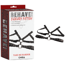 Load image into Gallery viewer, Take Me Harder
