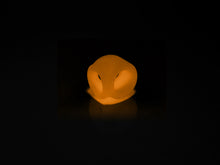 Load image into Gallery viewer, The Brawn Cage Glow Orange
