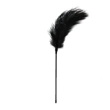 Load image into Gallery viewer, Feather Tickler Black
