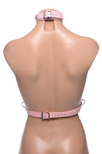 Load image into Gallery viewer, Miss Behaved Pink Chest Harness
