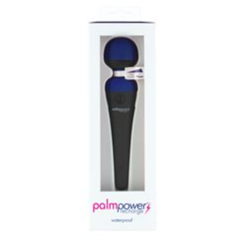 PalmPower RECHARGE Wand Massager Clitoral Stimulator Vibrator Palm Power Sex Toy