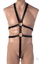 Load image into Gallery viewer, Male Full Body Harness
