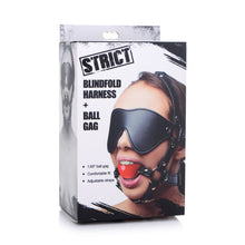 Load image into Gallery viewer, Blindfold Harness w Ball Gag Black
