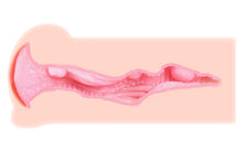 Load image into Gallery viewer, Kokos Masturbator Haru 3D Stroker
