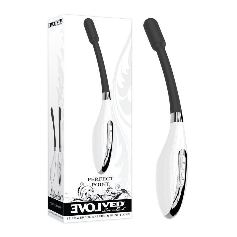 Evolved Perfect Point