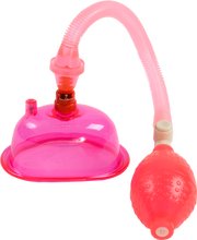 Load image into Gallery viewer, Pussy Pump (Pink)
